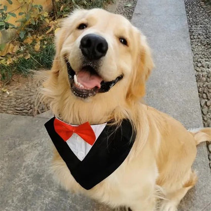 golden retriever portant Bandana pour Chiens sourit 