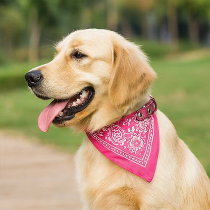 golden retriever portant collier bandana chien rose dans parc