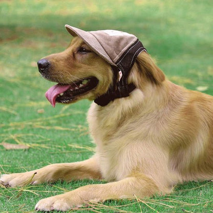 golden retriever porte Casquette pour chien couché sur pelouse