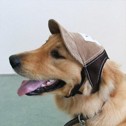 golden retriever porte Casquette pour chien sur moquette grise