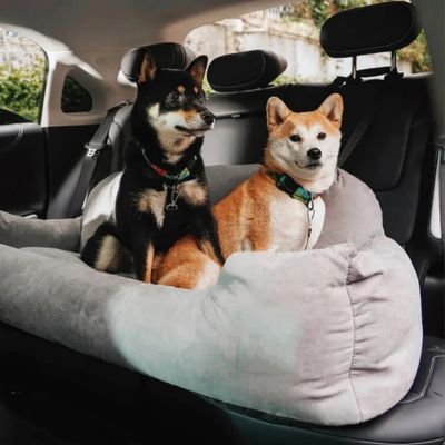 un-shiba-inu-noir-etun-blond-roux-assidans-grand-panier-gris-pale-sur-banquette-arriere-noire-de-vehicule