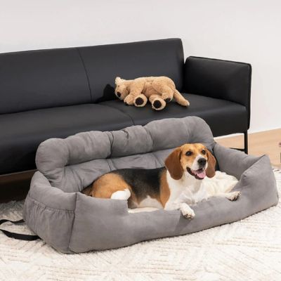 beagle-couche-dans-grand-panier-gris-pale-par-terre-dans-salon-en-avant-de-sofa-noir