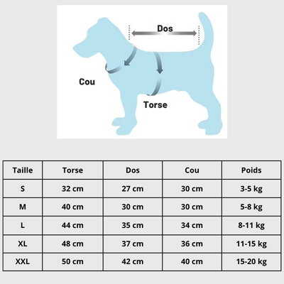 guide des tailles pour déguisement Chien halloween froggy
