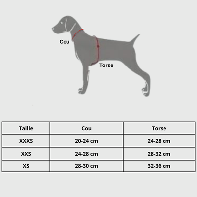 guide des tailles pour harnais chiot 