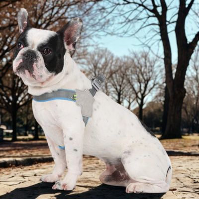 Harnais chien | Sécuri-Confort