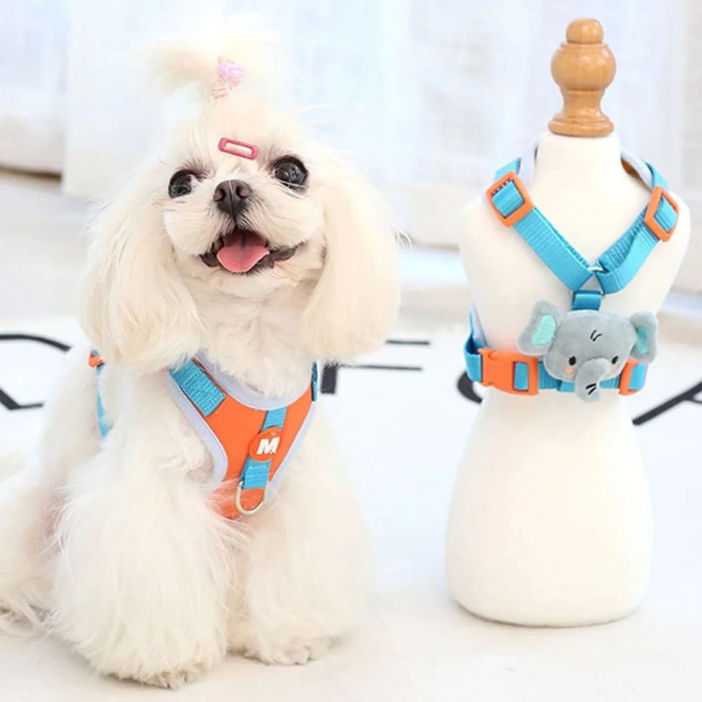 shihtzu blanc porte harnais chiot orange 