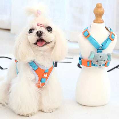 shihtzu blanc porte harnais chiot orange 