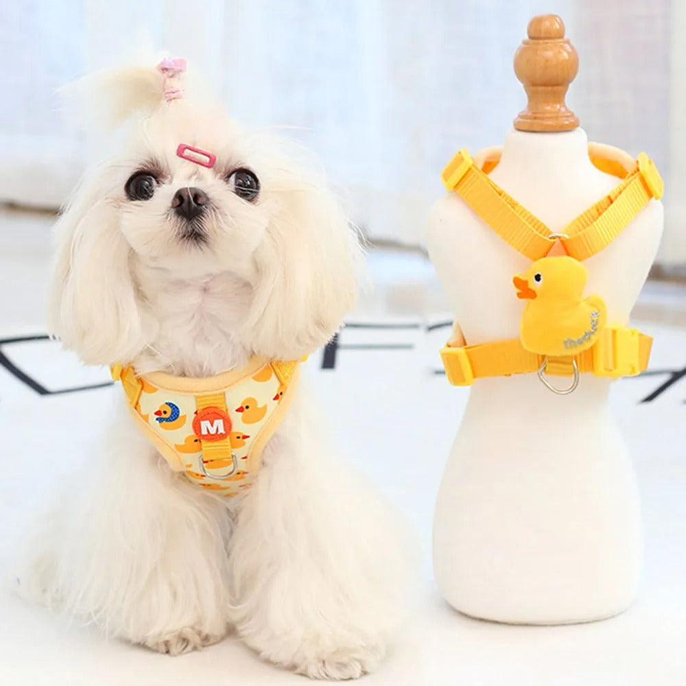 shihtzu blanc portant harnais chiot jaune avec canard