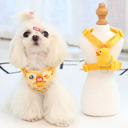 shihtzu blanc portant harnais chiot jaune avec canard