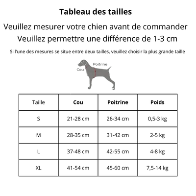 Harnais pour petit Chien | BarkSafe