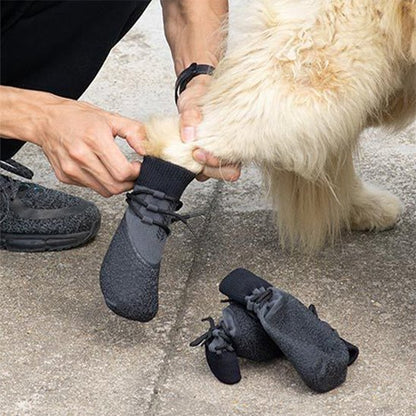 homme en train de mettre chaussure chien à chien beige