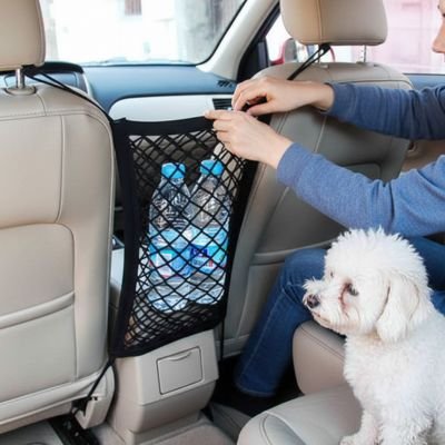 homme installe Filet chien voiture pendant que caniche blanc regarde