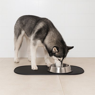 husky mange dans son bol qui est surTapis gamelle Chien noir