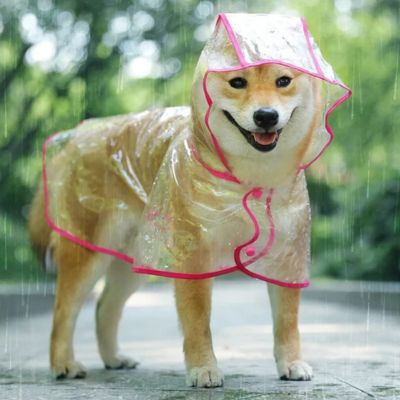 IMPERMÉABLE POUR CHIEN TRANSPARENT