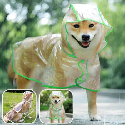 IMPERMÉABLE POUR CHIEN TRANSPARENT