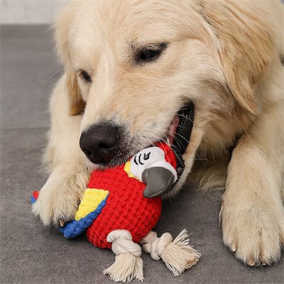 joue avec Peluche Chien sur moquette
