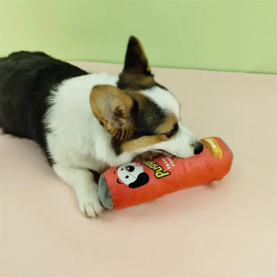 corgi est couche sur sol de maison et mord dans jouet chien