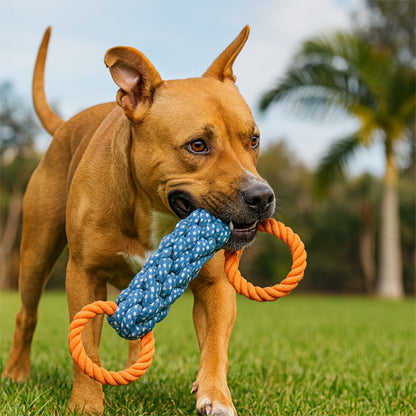 Jouet chien Chewchamps