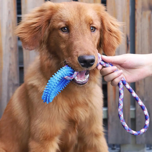 Jouet chien FetchFrenzy