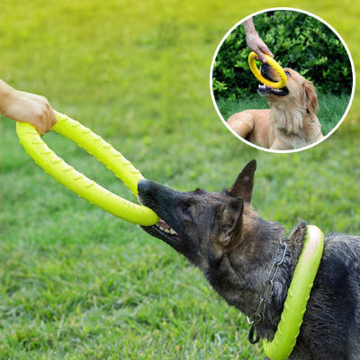 berger allemand tire sur jouet chien dans parc