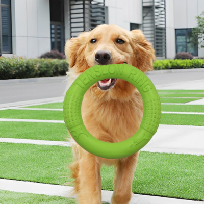 golden retriever tient jouet chien dans sa gueule