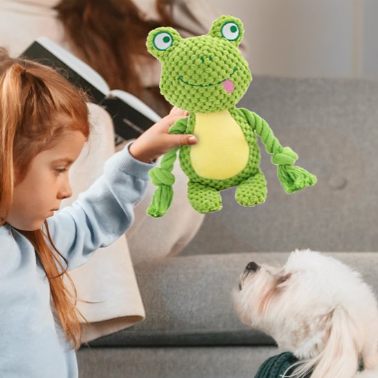 jouet Peluche pour chien dans main de fillette qui joue avec chien blanc
