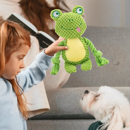 jouet Peluche pour chien dans main de fillette qui joue avec chien blanc