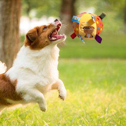 jack russell joue avec jouet chien en corde