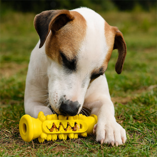Jouet pour chien Woofclean