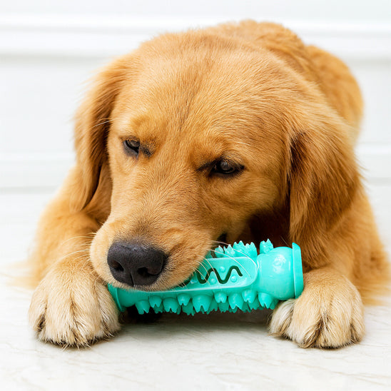 Jouet pour chien Woofclean