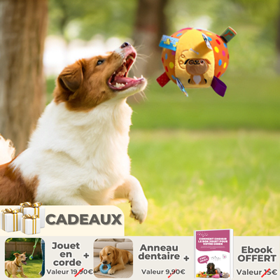 JOUET POUR CHIEN BUSYDOGGY™