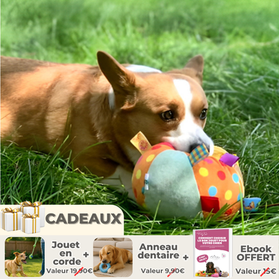 JOUET POUR CHIEN BUSYDOGGY™