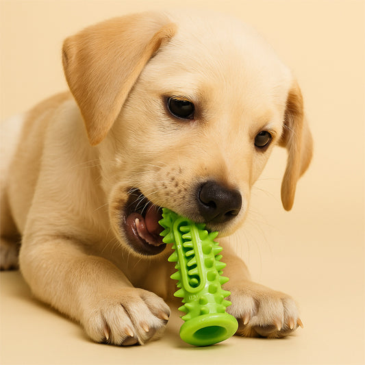 Jouet pour chien Woofclean