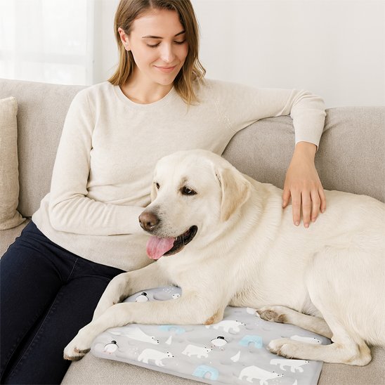 labrador blanc couche sur Tapis rafraichissant pour chien sur divan avec dame