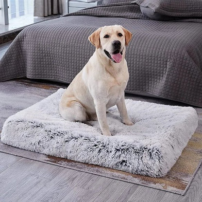 labrador blond assis sur Tapis pour chien