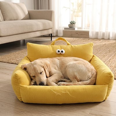 labrador blond couché sur Canapé Chien 