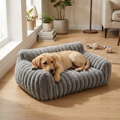 labrador blond couché sur Canapé pour Chien gris