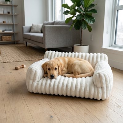 labrador blond couché sur Canapé pour Chien