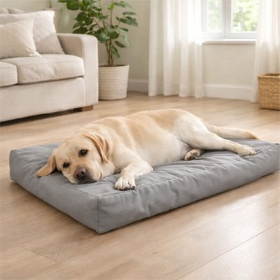 labrador blond couche sur Coussin pour Chien 