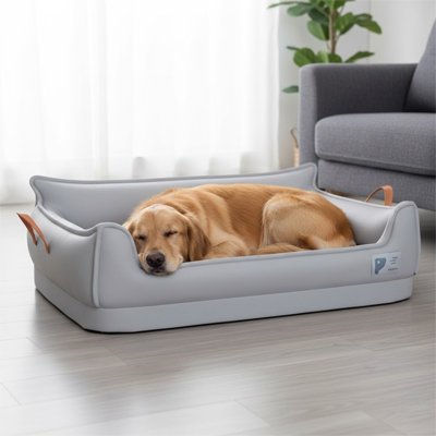  labrador blond dort sur Canapé pour chien 