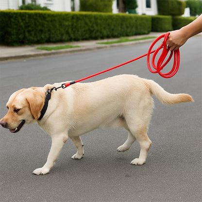 labrador blond en Laisse chien avec dans rue