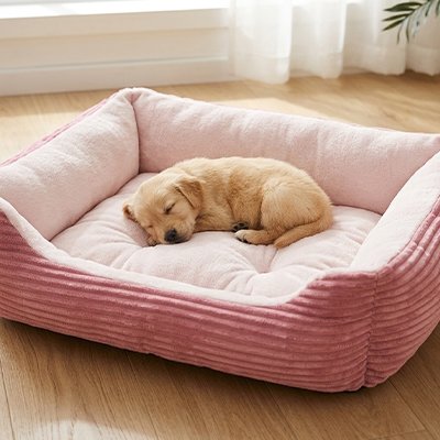labrador chiot  dort dans Panier Chien au sol