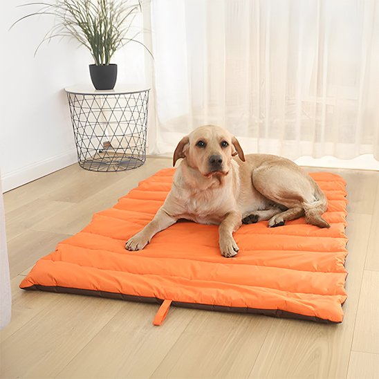labrador couche sur Tapis pour chien sur plancher de bois
