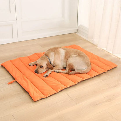 labrador couche sur Tapis pour chien sur plancher bois