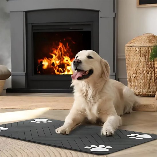 labrador couche sur Tapis pour gamelle chien au sol