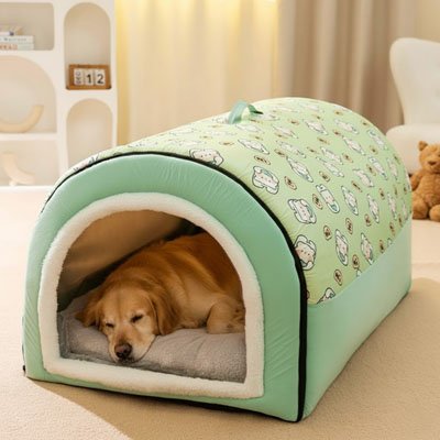 labrador dans Niche Chien verte