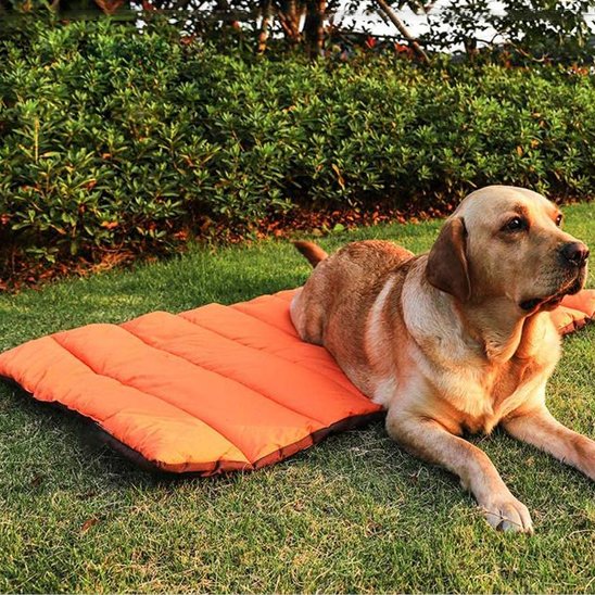 labrador etendu sur Tapis pour chien sur pelouse