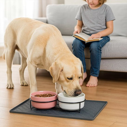 labrador mange sur Tapis pour gamelle Chien gris