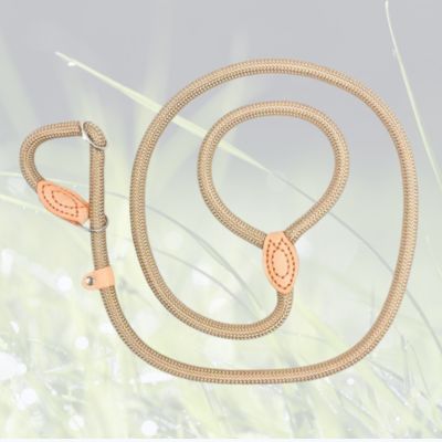 laisse pour chien variante beige