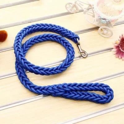 laisse pour chien variante bleue
